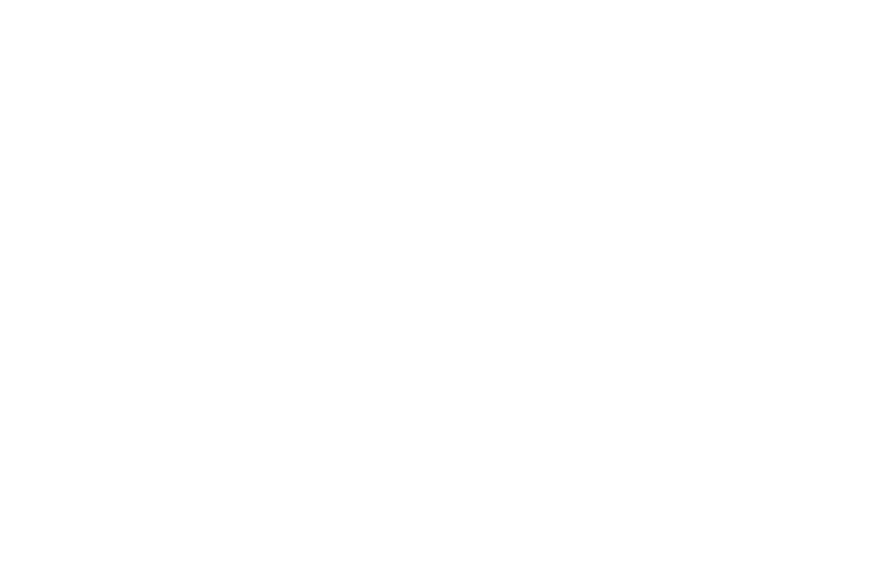 Noa Logo